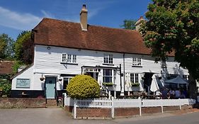 Rose And Crown